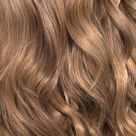 8.0 Professional Hair Color Brands, Chocolate Blonde, Ammonia Free Hair Color, Natural Dark Blonde, Natural Ash Blonde, Wella Koleston, Hair Color Brands, Professional Hair Color, Chocolate Hair