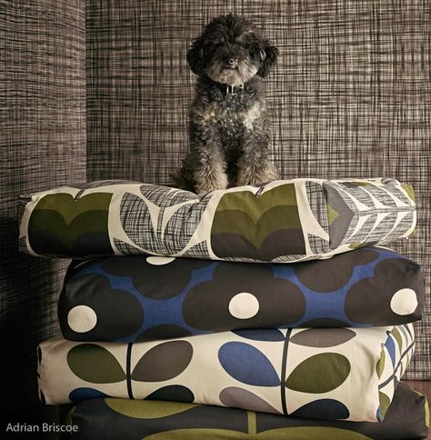 Orla Kielt range of home furnishing fabrics Orla Kiely Fabric, 70s Interior Design, 70s Interior, Interior Decorating Styles, Wallpaper Magazine, Flower Fabric, Fabric Houses, Orla Kiely, Wallpaper Calculator