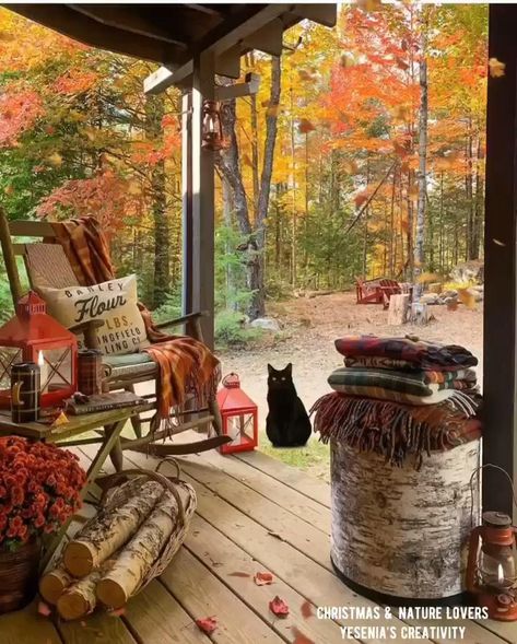 Cabin Christmas, Rustic Fall Decor, Autumn Scenes, Autumn Scenery, Walk In The Woods, Autumn Beauty, Fall Pictures, Rustic Cabin, Cabins In The Woods