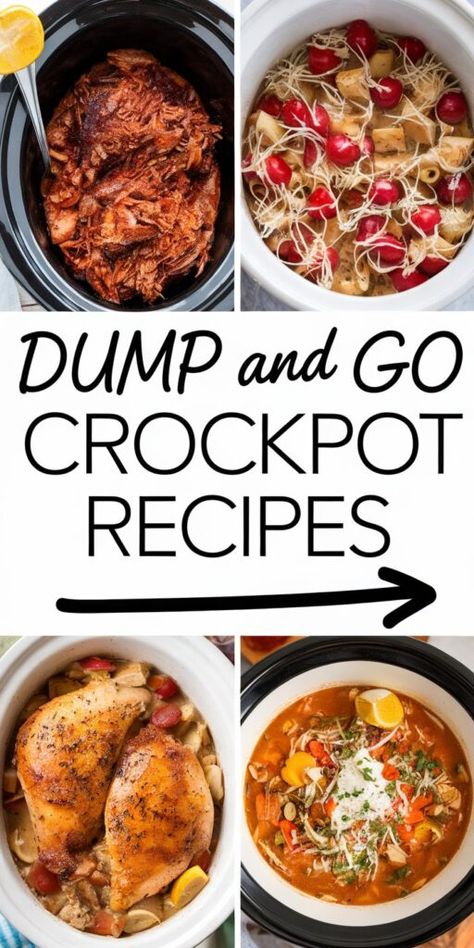 Crockpot Dump And Go Meals, Slow Cooker Freezer Meals Easy, Healthy Freezer Dump Meals, Easy Crock Pot Dump Recipes, Easy Dinner Recipes For Family Healthy Crock Pot, Healthy Dump And Go Instant Pot Recipes, Dump Slow Cooker Recipes, Freezer Dump Meals Crock Pots, Dump Recipes Dinner Crock Pots