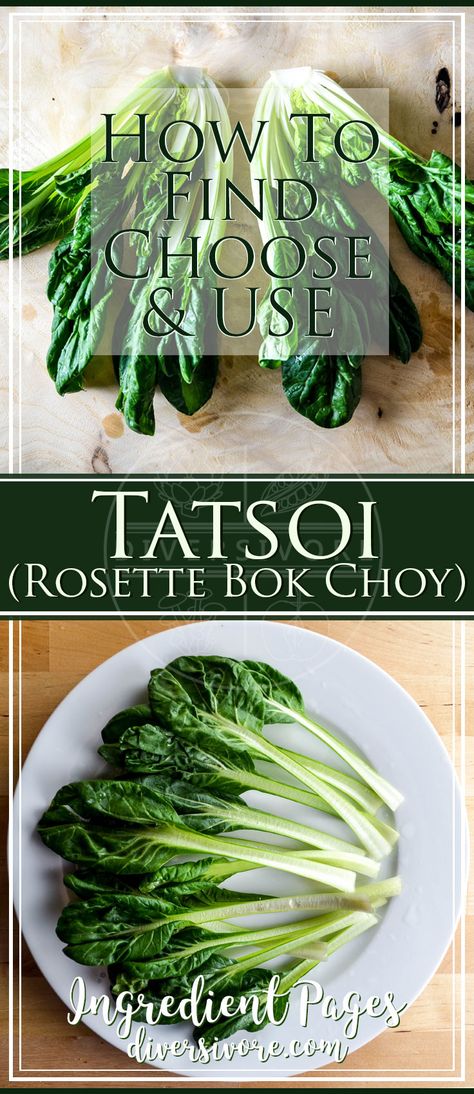 Tatsoi - what is it, and how do you use it? A complete guide, plus recipes. Mapo Tofu, Vegetables Recipes, Japanese Recipes, Canadian Food, Mood Food, Asian Inspired Recipes, Human Food, Recipe Board, Vegetarian Meals