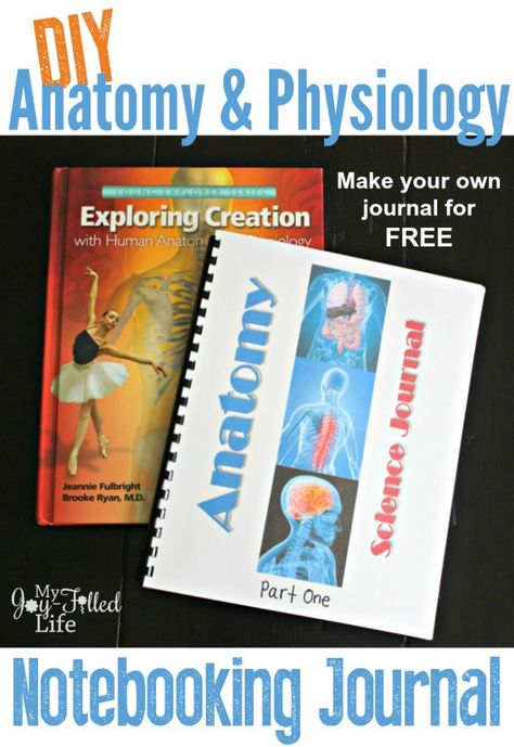 DIY Anatomy & Physiology Notebooking Journal for Apologia Homeschool Science Interactive Notebooks Elementary, Interactive Notebooks English, Chemistry Interactive Notebook, Interactive Notebooks High School, Geography Interactive Notebook, Biology Interactive Notebook, Apologia Anatomy, Science Anatomy, Grammar Interactive Notebook