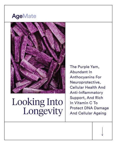 The purple yam, also known as ube, has gained popularity for its numerous health benefits, making it a sought-after ingredient in various cuisines and wellness practices. 🍠⁠ ⁠ Recently announced as the Vegetable of the Year for 2024, the purple sweet potato has captured attention with its vibrant hue and impressive nutritional profile. Packed with fiber, vitamins A and B, and antioxidants, these tubers offer a delightful combination of flavour and nourishment. ⁠  ⁠ ⁠ ⁠ Purple Sweet Potatoes Benefits, Purple Potatoes Benefits, Benefits Of Ube, Purple Sweet Potato Benefits, Sweet Potato Benefits, Benefits Of Potatoes, Wellness Practices, Purple Sweet Potato, Health Facts Food