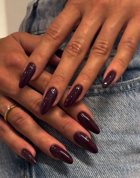 Long Nail Color Ideas, Plain Dark Nails, Deep Purple Almond Nails, Nail Dark Colors, Dark Purple Long Nails, London Nails Aesthetic, Deep Purple Nails Fall, Fall Nails Long Almond, Aesthetic Nails 2024