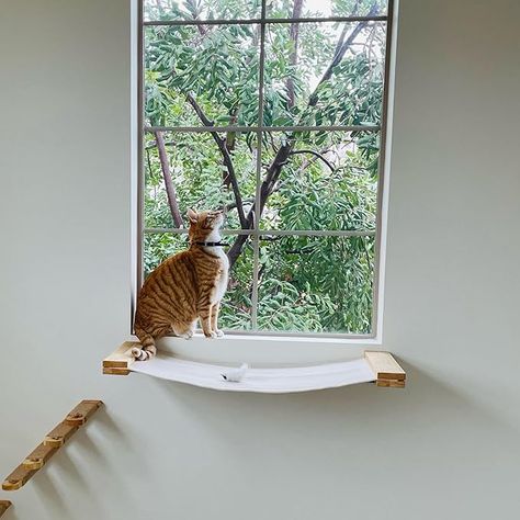 Cat Wall Shelf, Cat Window Hammock, Cat Stairs, Cat Window Perch, Diy Hammock, Window Perch, Cat Wall Shelves, Cat Wall Furniture, Long Cat