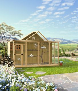 Pigeon Loft Design, Homing Pigeons, Pigeon Loft, Pet Bird Cage, Racing Pigeons, Bird House Kits, Bird Aviary, How To Attract Birds, Parrot Bird