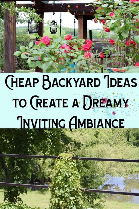 Cheap Backyard Ideas, Chemistry Ideas, Easy Backyard Diy, Enchanted Gardens, Backyard Sanctuary, Patio Grande, Backyard Dreams, Plant Tips, Cheap Ideas