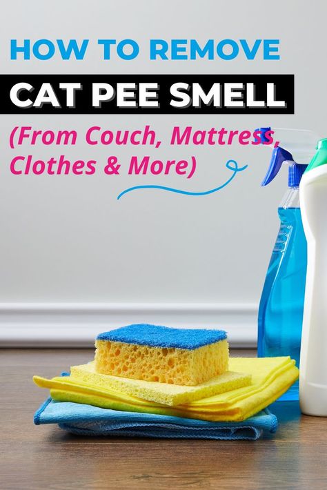 Pet Urine Smell Out Of Couch, Cat Urine Out Of Clothes, How To Get Cat Urine Out Of Furniture, How To Get Cat Urine Out Of Clothes, Cat Pee Out Of Couch, Cat Pee Remover, Cat Urine Out Of Couch, Remove Cat Urine Smell From Clothes, Cat Pee Smell Removal From Couch