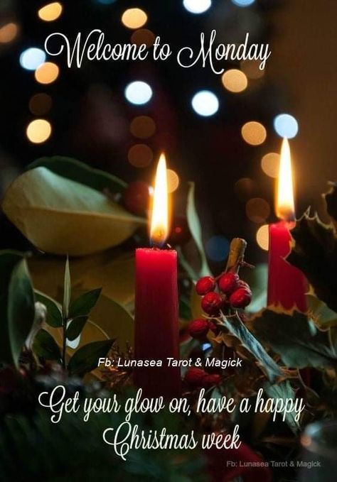 Monday Christmas Images, Christmas Monday Morning Quotes, Monday Before Christmas Quotes, December Monday Morning, Monday Christmas Quotes, Happy Monday Christmas, Monday Before Christmas, December Greetings, December Inspiration