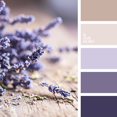 Purple Color Schemes, Wedding Colors Purple, Purple Color Palettes, Beige Bedroom, Kitchen Colour Schemes, Color Schemes Colour Palettes, Trendy Living Rooms, Room Paint Colors, Trendy Bedroom