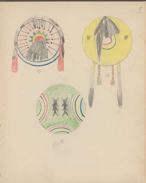 Indian Shield, Shield Designs, Insect Design, Plains Indians, Smithsonian Institution, Shield Design, Oklahoma, Horn, Feathers