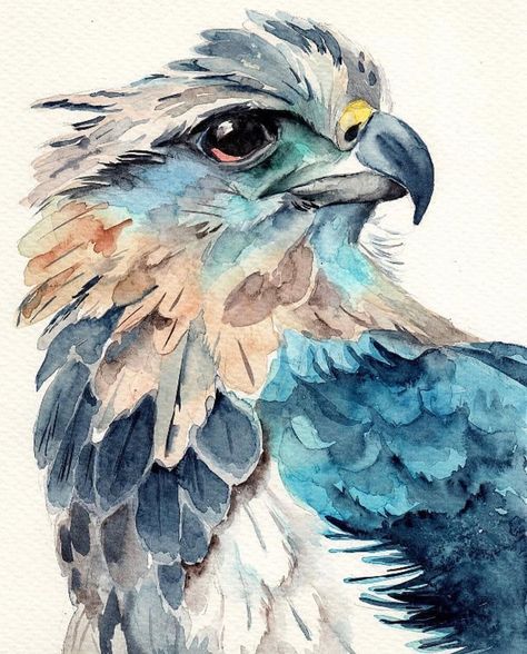 Bird Art Watercolor, Watercolour Painting Inspiration, Watercolor Cute Animals, Birds Watercolor Paintings, Bird Art Painting, Watercolour Painting Ideas, Bird Watercolor Art, Watercolour Birds, Drawing Birds