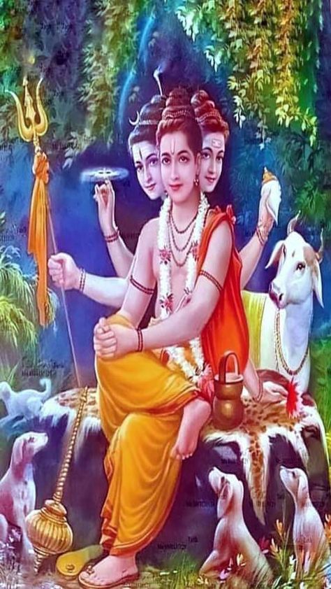 Dhathathreya Swami, Dattatreya Images Full Hd Wallpaper, Guru Dattatreya, Datta Guru, Guru Datta, Lord Dattatreya, Swami Samartha, Jai Gurudev, Adi Shankaracharya