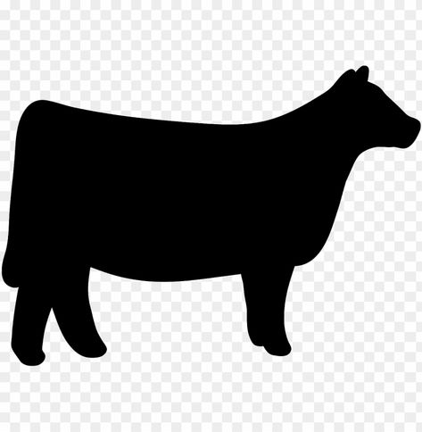 Show Cow Silhouette, Farm Silhouette, Show Heifer, Cow Silhouette, 4h Projects, Show Cows, Best Friend Cards, Cow Clipart, Show Cattle