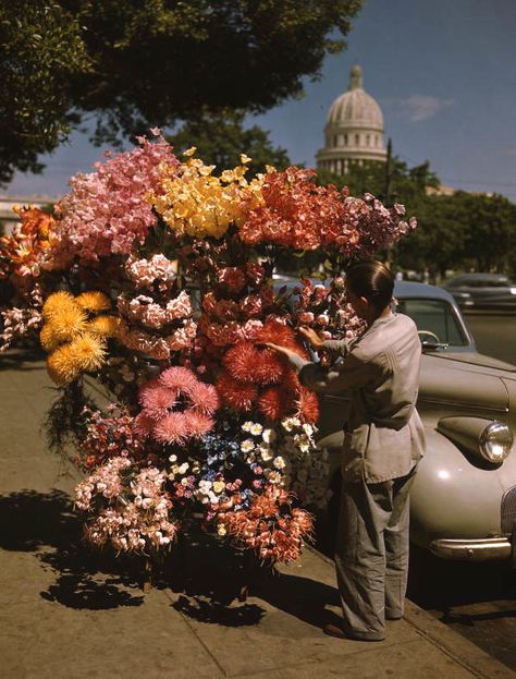 Flower Vendor, Flower Seller, Vintage Cuba, Cuba Photography, Afro Cuban, Cuban Art, Celebrity Cruises, Guys And Dolls, Havana Cuba