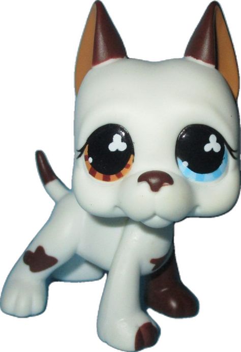 Lps Great Dane, Lps Dog, Lps Collection, Lps Toys, Lps Pets, Dane Dog, Great Dane Dogs, Littlest Pet Shop, Great Dane