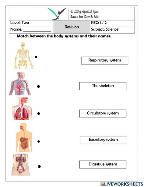 Body Systems Worksheets, Skeletal System Worksheet, Grade 2 Science, Worksheets For Grade 3, Teachers Resources, Science Notebook, Interactive Science, Barbie Coloring, Biology Teacher