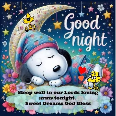 Snoopy Prayers, Good Night Humor, Night Humor, Goodnight Pictures, Sweet Dreams Pictures, Dreams Pictures, Good Night Blessings Quotes, Bedtime Affirmations, Goodnight Sweet Dreams