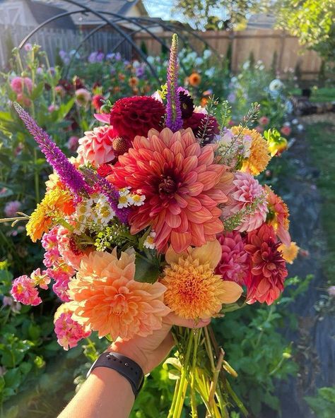 Zinnias Wedding, Dalia Core, Zinnia Flower Arrangements, Flower Color Combinations, Zinnia Wedding Bouquet, Orange Flower Bouquet, Hoco Flowers, Wild Flowers Bouquet, Prom Posters