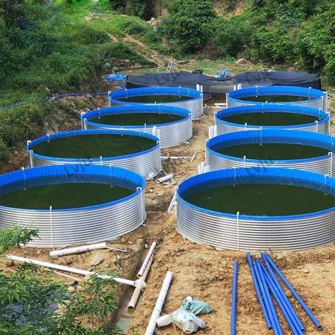 Aquaculture Fish Farming, Big Fish Tank, Aqua Ponics, Tilapia Fish Farming, Shrimp Pond, Big Fish Tanks, Pool Solar Panels, Large Fish Tank, Aquaculture Fish