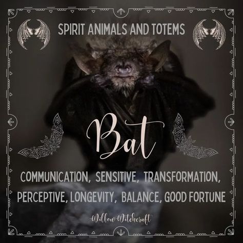 Seeing Bats Spiritual Meaning, Bats In Witchcraft, Bat Spiritual Meaning, Bat Spirit Animal Meaning, Bat Symbolism, Animal Totem Spirit Guides, Cat Symbolism, Spirit Animal Meaning, Totem Animals