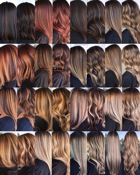 🍁☀️🔥Warm vs. Cool❄️💨💎 Can you see it?? The first two columns are warm, red/gold undertones. The last two columns are more cool, ash… Hair Colors For Warm Undertones, Warm Undertone Hair Color, Color Undertones, Hair Color Chart, Brown Hair Balayage, Ombré Hair, Hair Color Techniques, Balayage Brunette, Hair Shades