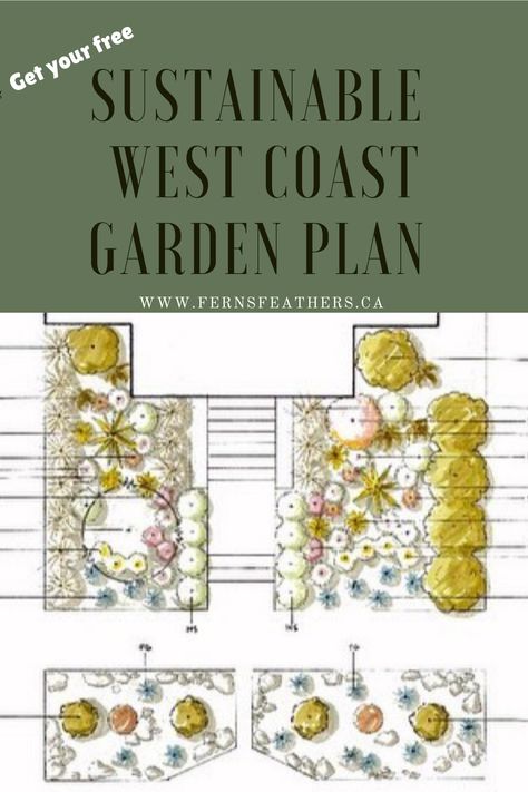 Garden designer Alexa LeBouef Brooks is changing the world around her by creating exquisite natural gardens in the Seattle area. Her Pacific West Coast designs specialize in developing a more sustainable, woodland or naturalized gardening approach. Check out her design plans to get ideas and tips for your own garden. Gardening | garden tips | garden ideas | west coast gardening | West Coast Landscaping Ideas, West Coast Backyard, West Coast Garden Ideas, Ecological Garden, Backyard Bohemian, Pacific West Coast, Natural Gardens, Sustainable Garden Design, Pacific Northwest Garden