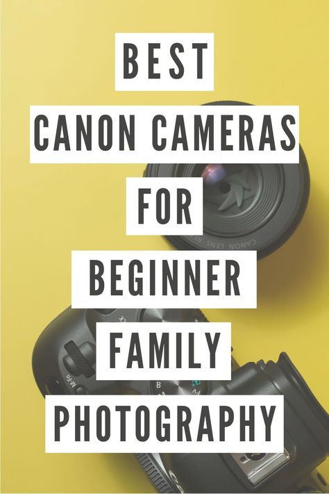 Starting a family photography business? In this guide, I help you find the perfect camera for family photography beginners and show you what to look for, the different types of cameras like a DSLR or a mirroless camera, and my camera recommendations. What Camera Should I Buy Photography, The Best Camera For Photography, Best Canon Camera For Photography, Best Starter Camera For Photography, Beginner Camera Photography, Starter Camera For Photography, Good Cameras For Photography, Best Cameras For Photography Beginners, Beginner Photography Ideas