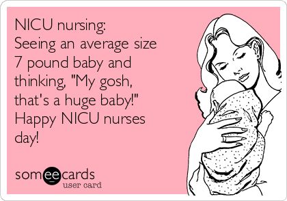 NICU nursing: Seeing an average size 7 pound baby and thinking, "My gosh, that's a huge baby!" Happy NICU nurses day! Nicu Nursing Education, Nicu Nursing Quotes, Nicu Quotes, Healthcare Memes, Nicu Nursing, Camilla Rose, Nurse Quotes Inspirational, Healthcare Humor, Neonatal Nurse