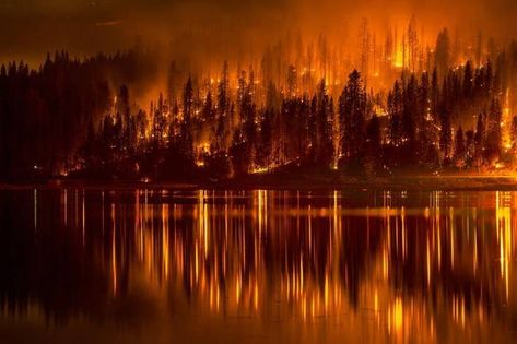 Night Wallpapers, Paradise California, Marian Apparition, California Wildfires, Picture Editor, Forest Wallpaper, Forest Fire, Best Photographers, Natural Environment