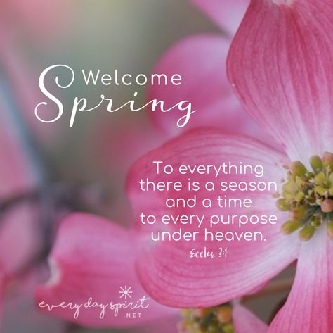 Happy Spring. May your soul bloom. xo Every Day Spirit: A Daybook of Wisdom, Joy and Peace. #spring #scripture Hello Spring Quotes, Spring Bible Verses, Springtime Quotes, Happy Spring Day, Quotes From The Bible, Black Love Quotes, Spring Quotes, Spring Images, Easter Quotes