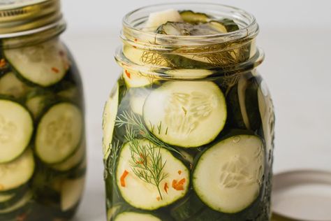 Pickles With Apple Cider Vinegar, Recipes With Apple Cider Vinegar, Homemade Refrigerator Pickles, Jenny Can Cook, Pickled Recipes, Refrigerator Pickle Recipes, Apple Cider Vinegar Recipes, Vinegar Recipes, Dill Pickle Recipe