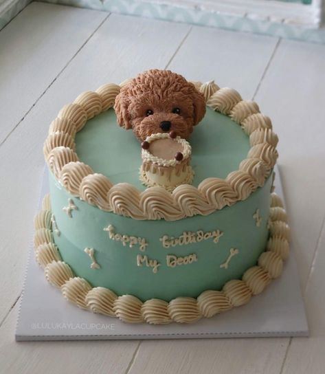 Bday Cake For Dogs, Dog Cake Aesthetic, Poodle Birthday Cake, Svt Cakes, Poodle Cake, Cakes For Teenagers, Puppy Birthday Cakes, Spongebob Birthday Cake, Doodle Cake