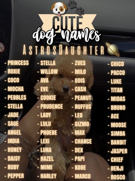 Cute Stuffed Animals Names, Baddie Dog Names, Cute Dog Names Unique, Preppy Dog Names, Names For Girl Dogs, Aesthetic Dog Names, Cute Dog Names, Nicknames For Friends, Cute Animal Names