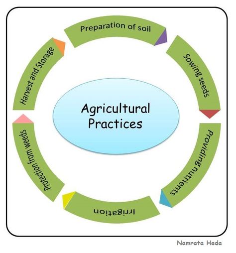 B for Biology: Crop Production and Management (Part II) Crop Production And Management Class 8, Crop Production And Management Notes, Crop Production And Management, Crop Science, Study Helper, Ag Education, Science Posters, Classroom Charts, Soil Texture