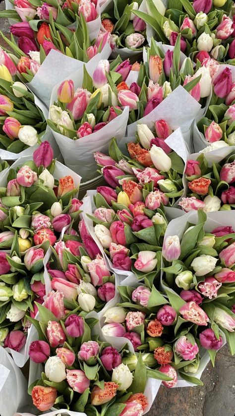 Buy Me Flowers, Boquette Flowers, Tulip Bouquet, Nothing But Flowers, Flower Therapy, I Love Flowers, Beautiful Bouquet Of Flowers, Luxury Flowers, Tulips Flowers