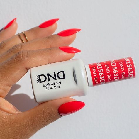 DND Gel on Instagram: “Not your typical true red shade... thanks to its milky pink undertones, DndRed #563 makes the perfect neon polish 🔥 Try this color on your…” Dnd Red, Natural Nails Manicure, Milky Pink, Dnd Gel Polish, Neon Red, Soak Off Gel, Pretty Acrylic Nails, True Red, Gel Color