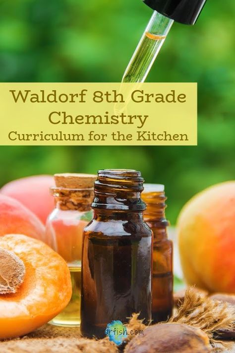 Waldorf eighth grade chemistry curriculum starts in the kitchen! Using cooking, eighth graders learn all about biochemistry in a way that feels fun and concrete, while the educator works to advance their abstract thinking and observational skills, and deepening their relationship to the natural world. Click here to learn more! | waldorfish | middle school science | chemistry | homeschool | homeschool classroom | Waldorf Education | curriculum planning | science curriculum | organic chemistry | Middle School Chemistry, Abstract Thinking, Waldorf Curriculum, Homeschool Science Curriculum, Homeschool Middle School, Kitchen Science, Waldorf Homeschool, Teaching Chemistry, Chemistry Experiments