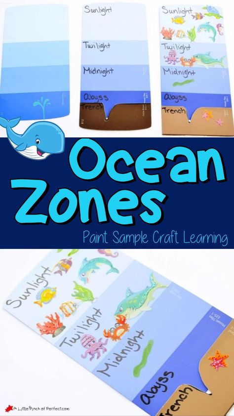 We have been enjoying learning about the Ocean and especially sea animals but we had never talked about the layers of the ocean until now. Paint samples work perfectly to represent the different levels, but if you don’t have any on hand you can always use layers of paper. When we were finished with this activity we had learned what type of animals live at different depths, what the different zones are called, and had a cute craft to help us remember and decorate our wall. #learningactivity Ocean Zone Activities, Ocean Layers For Kids, Layers Of The Ocean Craft, Ocean Layers Activity, Ocean Levels, Type Of Animals, Ocean Layers, Layers Of The Ocean, Ocean Zones