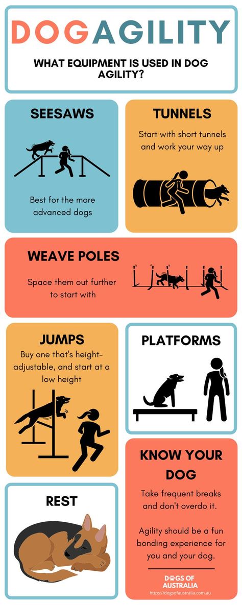 Dog Bonding Activities, Working Dog Training, High Energy Dog Activities, Dog Agility Aesthetic, Diy Dog Training Equipment, Diy Dog Agility Equipment, Dog Training Room, Agility Dog Training, Dog Agility Diy