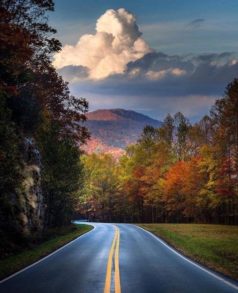 Blue Ridge Scenic Railway, Senior Pictures Locations, Georgia Us, 4 More Days, Chattahoochee National Forest, North Georgia Mountains, Leaf Peeping, Georgia Mountains, Mountain Photos