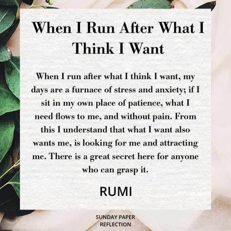 When I Run After What I Think I Want, Rabbi Quotes, 11 11 Aesthetic Quotes, 11 11 Aesthetic, Rumi Poems, Best Rumi Quotes, Face Shape Guide, Arabic Poems, 11 Aesthetic