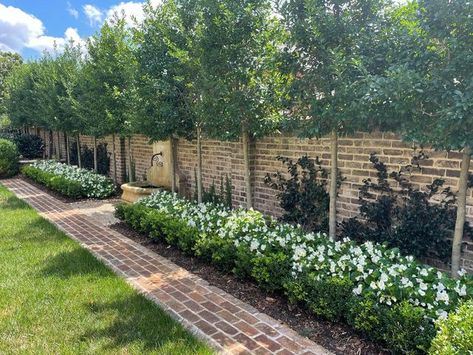 The Morgan Landscape Group on Instagram: "Landscape design can really transform a backyard. Plants soften the brick wall & make it an accent piece! #landscapedesign #residentialdesign #hardscape #backyard #charlottenc #keepingcharlottegreen" Garden With Brick Wall, Brick Garden Wall, Brick Wall Gardens, Hardscape Backyard, Brick Courtyard, Ivy Cottage, Instagram Landscape, Brick Garden, Backyard Plants