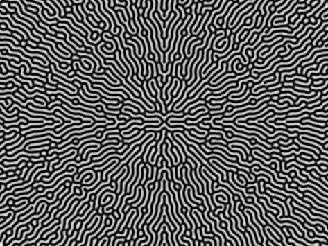 Reaction Diffusion pattern by Rodrigo Diaz Escalante Reaction Diffusion Pattern, Vermicular Pattern, Reaction Diffusion, Blackwork Patterns, Zen Doodle Art, Generative Design, Water Patterns, Coin Design, Photo Texture