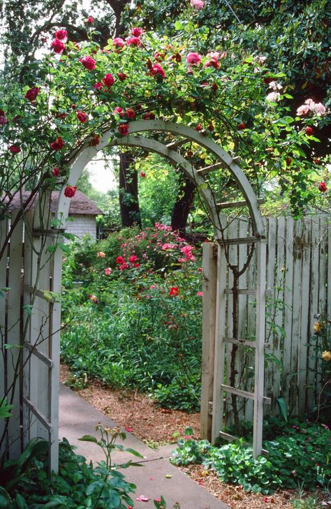 Arbor Gate, Arbor Ideas, Garden Archway, The Perfect House, Rose Arbor, The Romantics, Trumpet Vine, Front Yard Fence, Garden Entrance