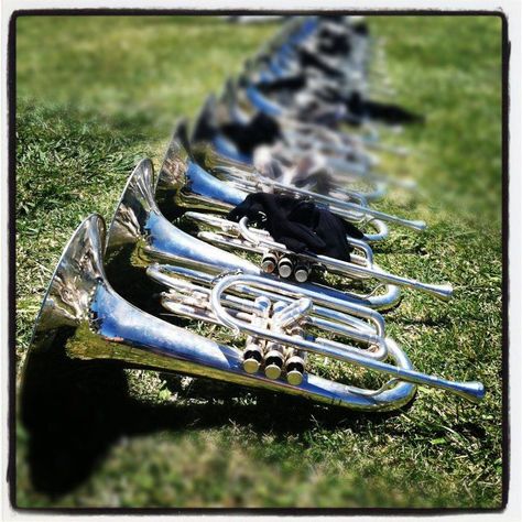 Mellophones basking in the sun.  Sexy. Mellophone Aesthetic, Marching Band Aesthetic, Sr Pictures, French Horns, Band Aesthetic, Basking In The Sun, Brass Instrument, Band Mom, Band Geek