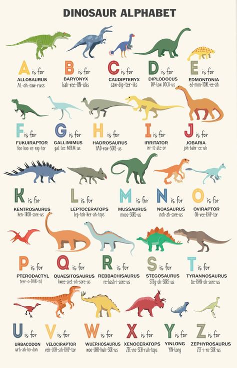 Different Dinosaurs Names, Dinosaur Names For Kids, Names Of Dinosaurs, Dino Alphabet, Dinosaurs Poster, Office Basement, Types Of Dinosaurs, Dinosaur Types, Bar House