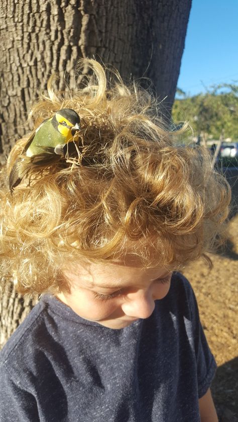 Crazy hair day- birds nest Crazy Hair Day Birds Nest, Rainbow Hair Color Ideas, Bird Nest Hair, Bird Lady, Rainbow Hair Color, Eye Of The Beholder, Birds Nest, Crazy Hair Days, Short Hair With Layers