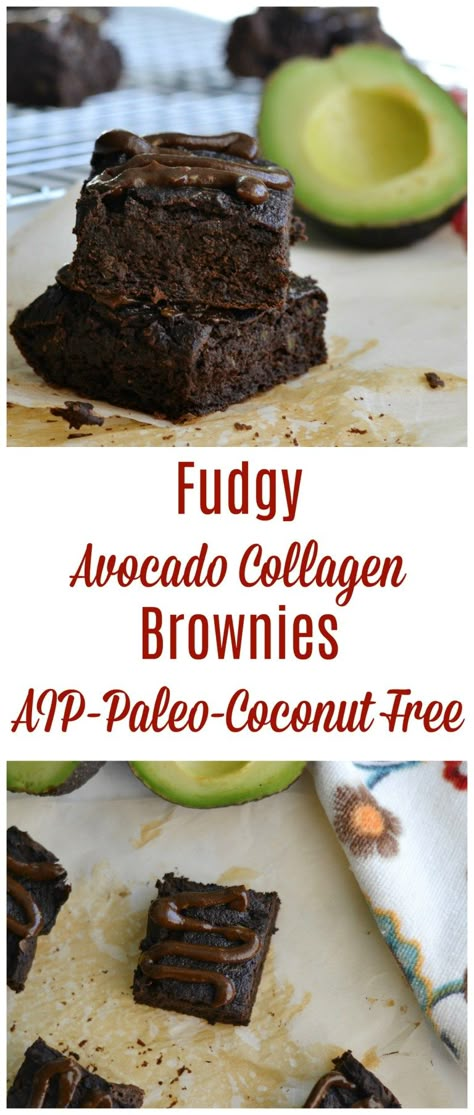 Fudgy Avocado Collagen Brownies (AIP/Paleo/Coconut Free) * Lichen Paleo, Loving AIP Aip Dessert Recipes, Aip Snack, Raisin Cake, Banana Flour, Autoimmune Paleo Recipes, Aip Paleo Recipes, Aip Desserts, Carob Powder, Cake Mug