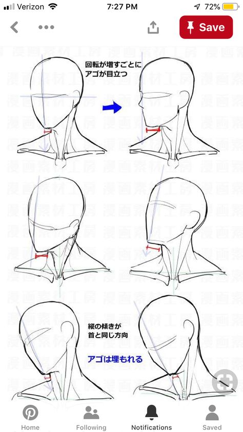 Manga Examples, Anime Head Shapes, Anime Face Shapes, Manga Materials, Character Composition, Neck Drawing, Anime Reference, Drawing Examples, Drawing Heads